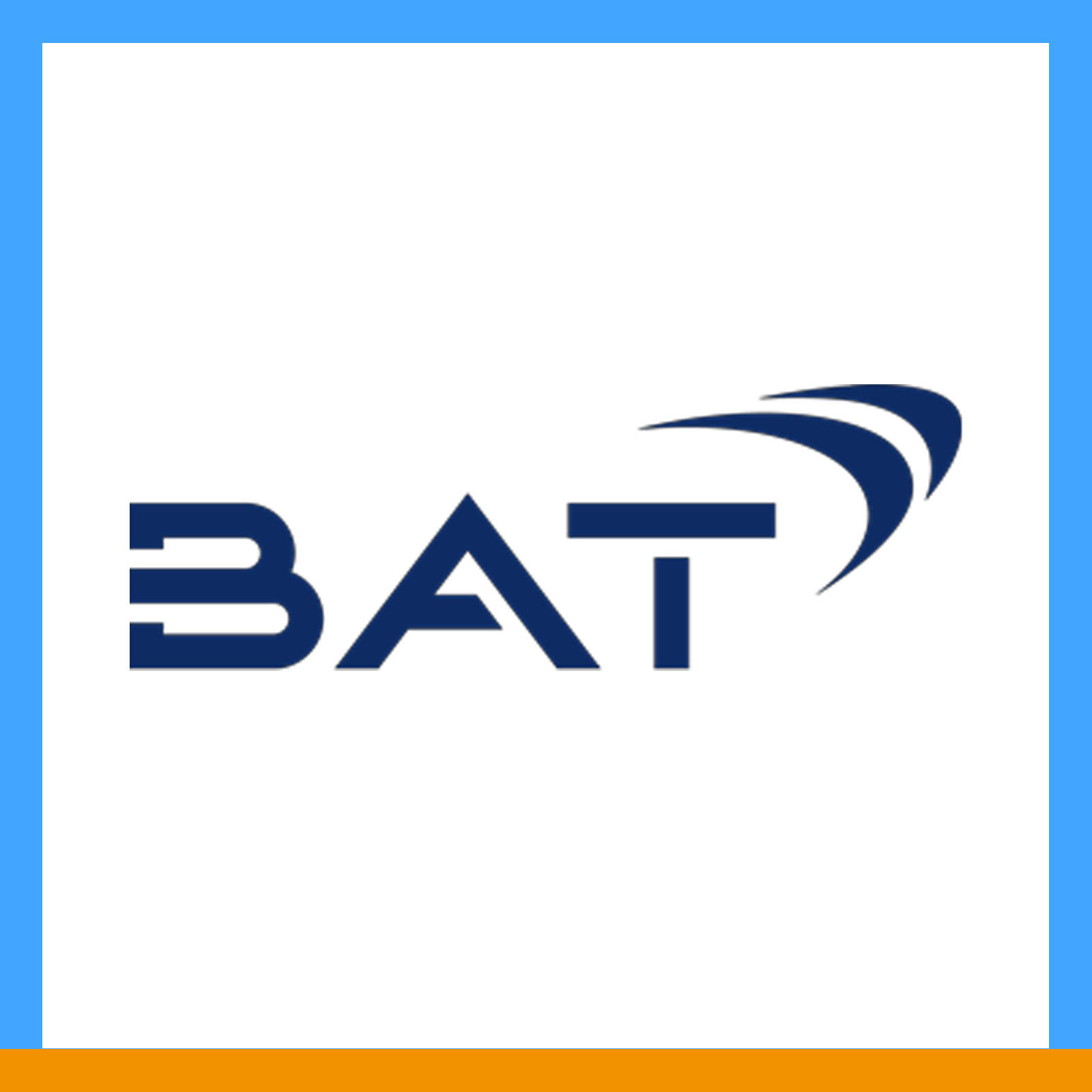 BAT.jpg